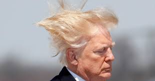 Titre: Le Président Trump Met Fin aux Restrictions sur les Pommeaux de Douche
