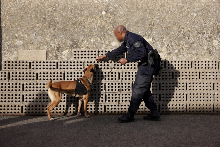 Les djihadistes se plaignent des chiens renifleurs dans les prisons britanniques