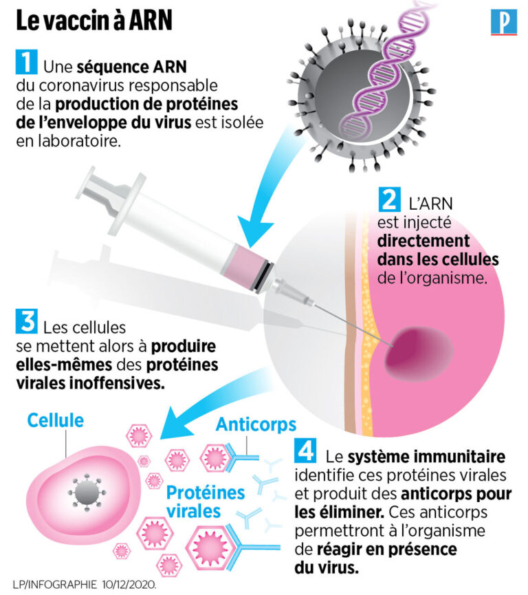 ### Émergence d’Anomalies Vasculaires Inédites Associées aux Vaccins ARNm