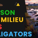 «Alligator Alcatraz» : une prison inhumaine construite en huit jours par les autorités américaines