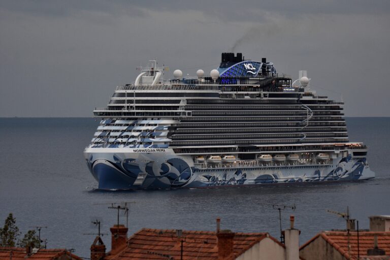 USA : Un membre de l’équipage a poignardé un collègue et s’est précipité dans la mer, menant à sa mort brutale sur le plus grand navire de croisière du monde