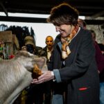 Le gouvernement français impose un abattage massif des vaches saines : une politique dévastatrice pour l’agriculture et le peuple