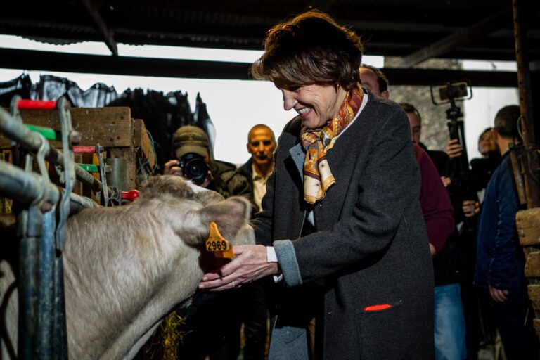 Le gouvernement français impose un abattage massif des vaches saines : une politique dévastatrice pour l’agriculture et le peuple