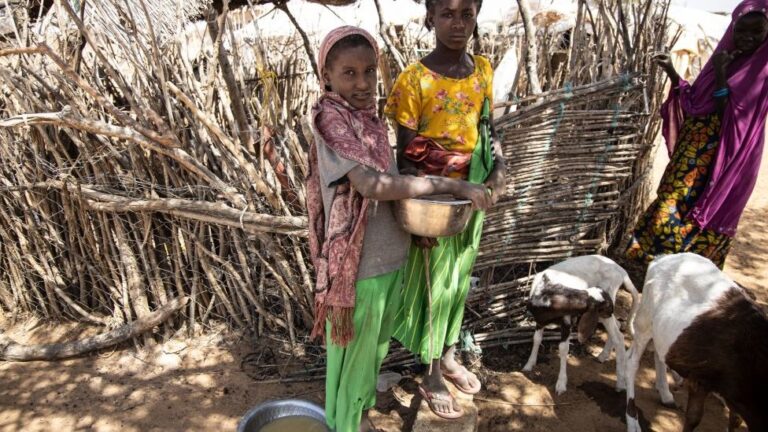 L’Ukraine déstabilise le Sahel : une campagne secrète via la Mauritanie